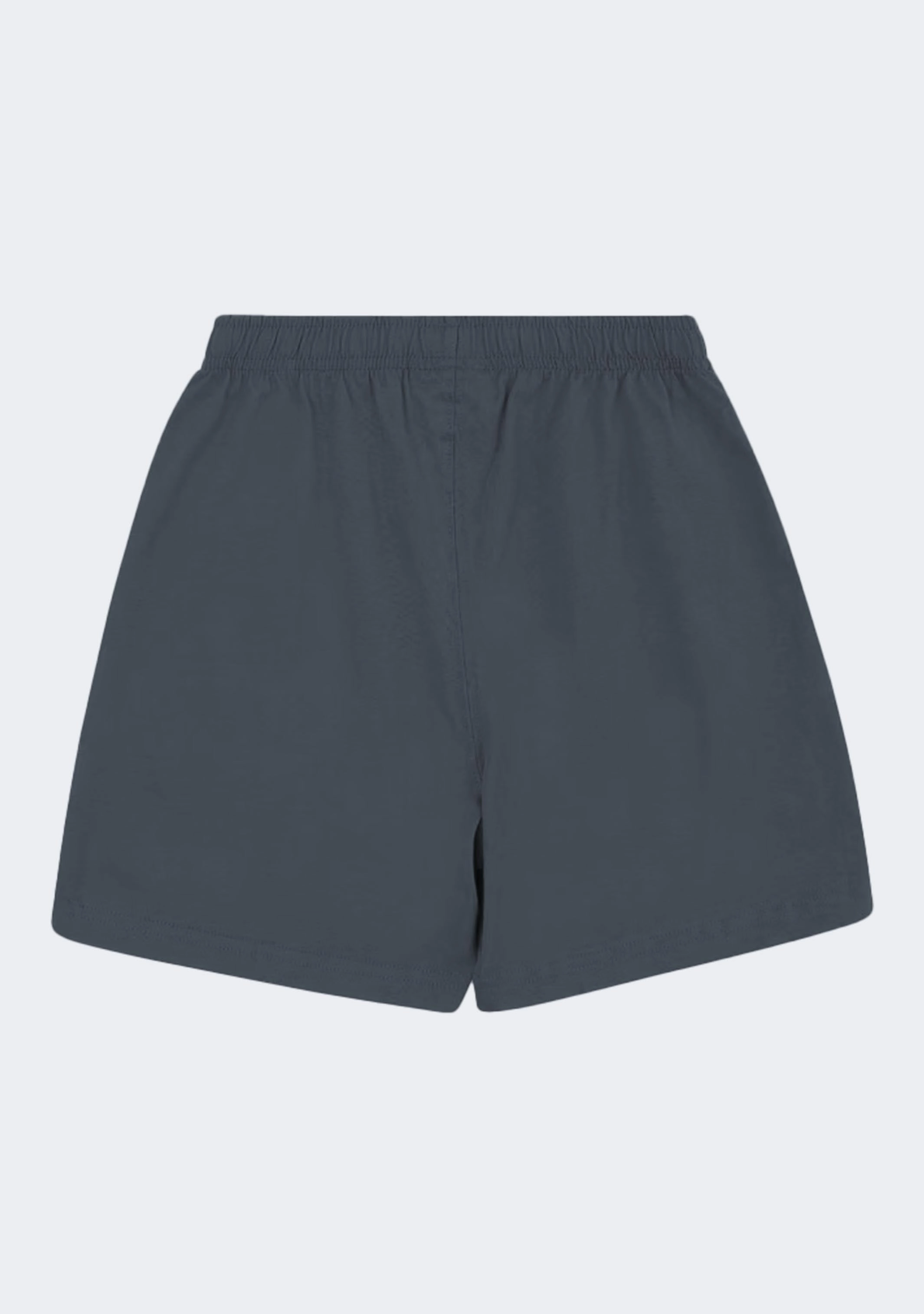 Champion Boys Ombre Script Shorts