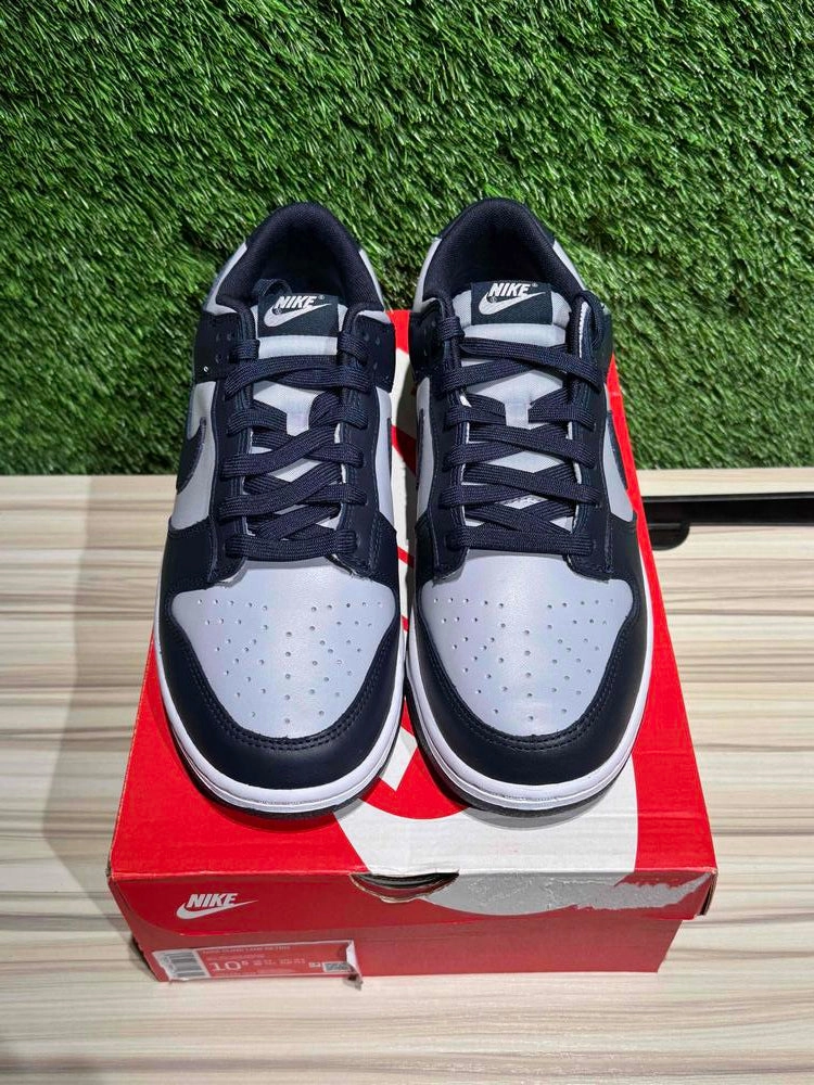 Nike Dunk Low Georgetown Sz 10.5