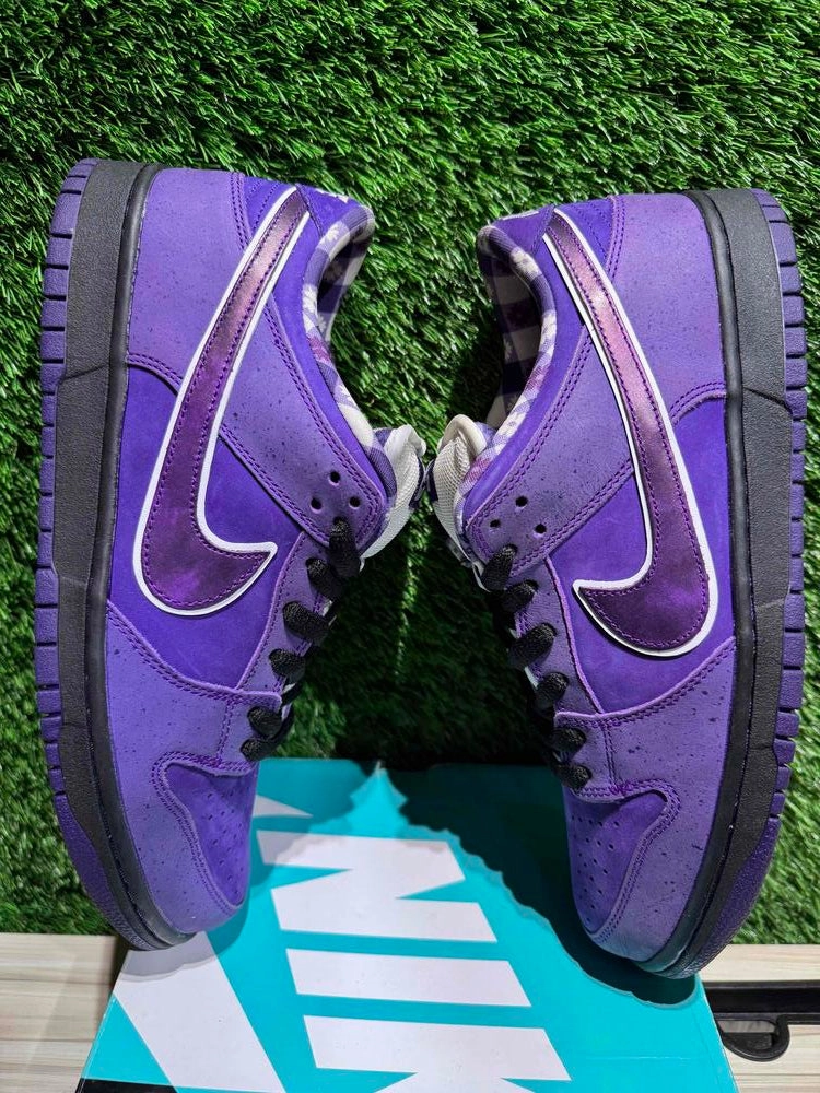 Nike SB Dunk Low Concepts Purple Lobster Sz 10.5..