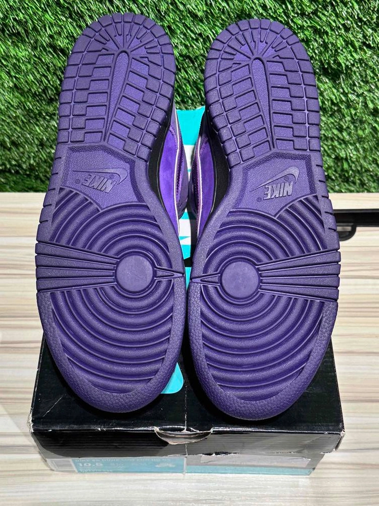 Nike SB Dunk Low Concepts Purple Lobster Sz 10.5..