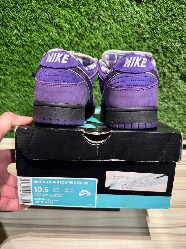 Nike SB Dunk Low Concepts Purple Lobster Sz 10.5..