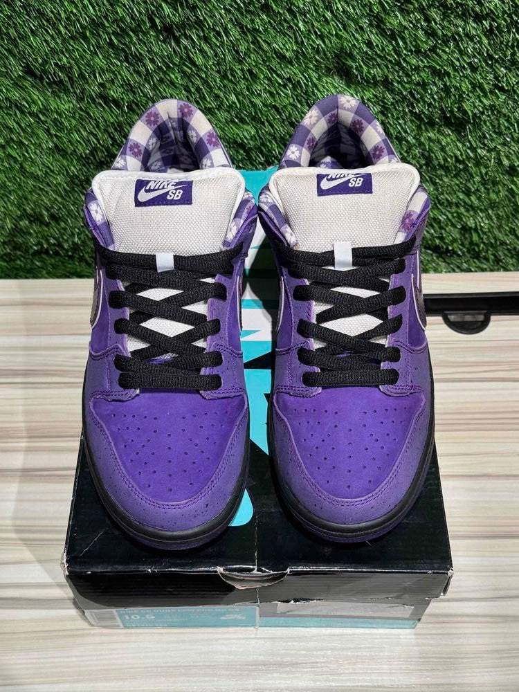 Nike SB Dunk Low Concepts Purple Lobster Sz 10.5..