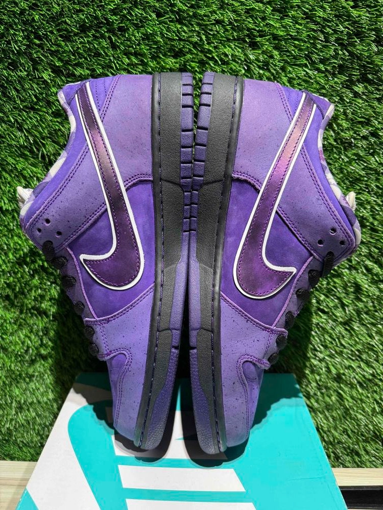 Nike SB Dunk Low Concepts Purple Lobster Sz 10.5..
