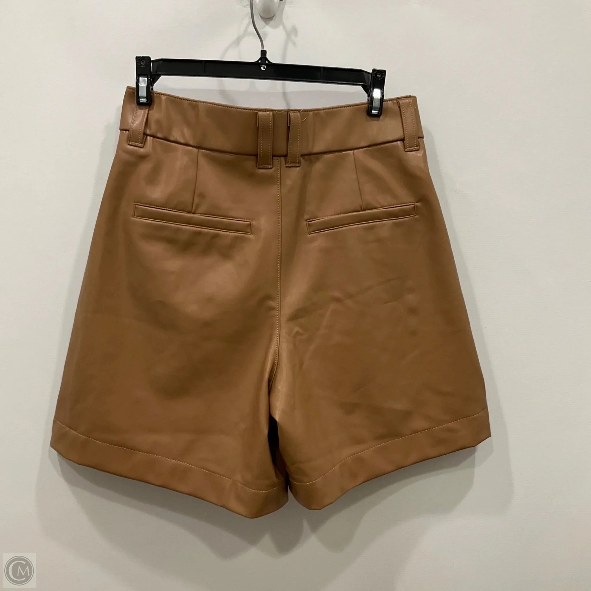 Shorts By Abercrombie And Fitch In Brown, Size: S